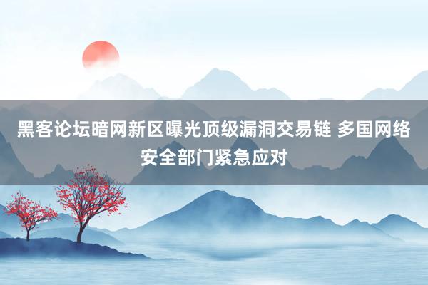 黑客论坛暗网新区曝光顶级漏洞交易链 多国网络安全部门紧急应对